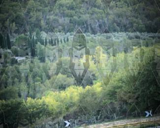 Tour Amical Toscana (groep 2) photo