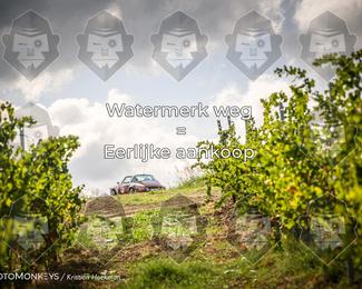 Tour Amical Toscana (groep 2) photo