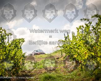 Tour Amical Toscana (groep 2) photo