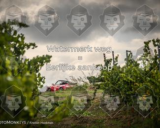 Tour Amical Toscana (groep 2) photo