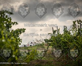 Tour Amical Toscana (groep 2) photo