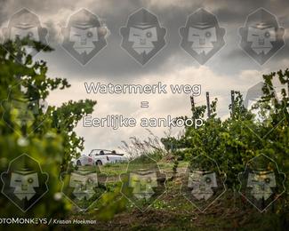 Tour Amical Toscana (groep 2) photo