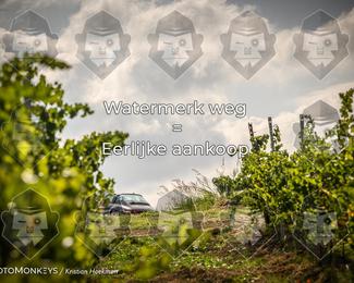 Tour Amical Toscana (groep 2) photo