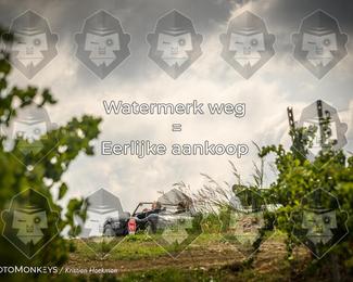 Tour Amical Toscana (groep 2) photo