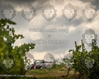 Tour Amical Toscana (groep 2) photo