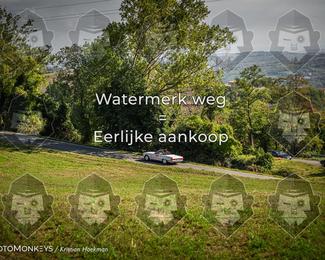 Tour Amical Toscana (group 2) photo