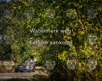 Tour Amical Toscana (groupe 2) photo