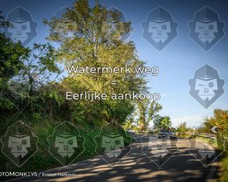 Tour Amical Toscana (groep 2) photo