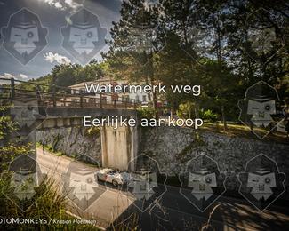 Tour Amical Toscana (groep 2) photo