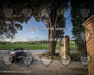 Tour Amical Toscana (groep 2) photo