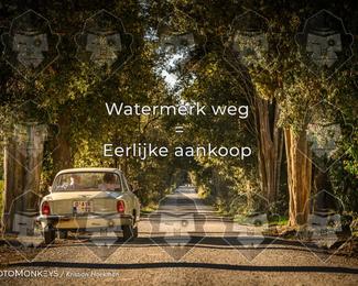 Tour Amical Toscana (group 2) photo