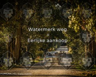 Tour Amical Toscana (group 2) photo