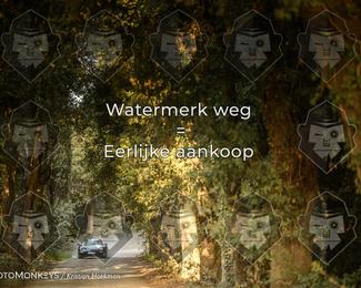 Tour Amical Toscana (group 2) photo