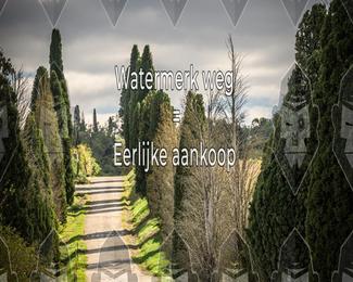 Tour Amical Toscana (groep 2) photo