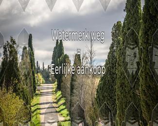 Tour Amical Toscana (groep 2) photo