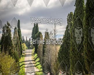 Tour Amical Toscana (groep 2) photo