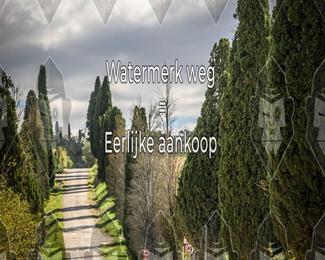 Tour Amical Toscana (groep 2) photo