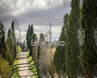 Tour Amical Toscana (groep 2) photo