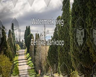 Tour Amical Toscana (groep 2) photo