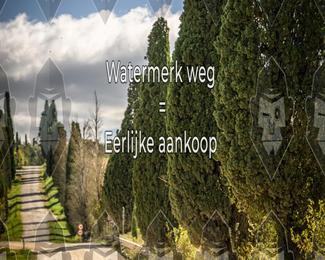 Tour Amical Toscana (groupe 2) photo