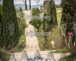 Tour Amical Toscana (groep 2) photo