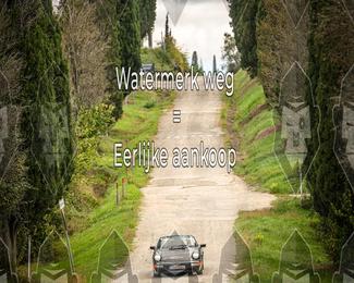 Tour Amical Toscana (groep 2) photo
