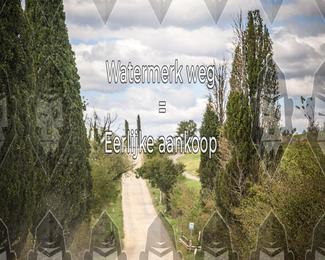 Tour Amical Toscana (groep 2) photo