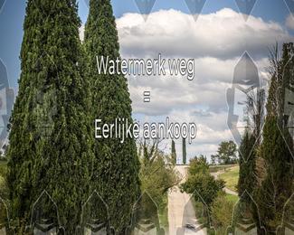 Tour Amical Toscana (groep 2) photo