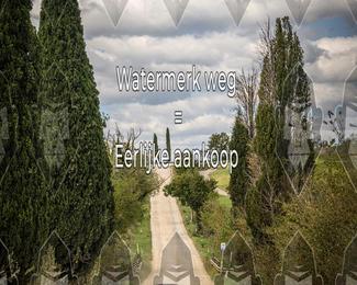 Tour Amical Toscana (groep 2) photo
