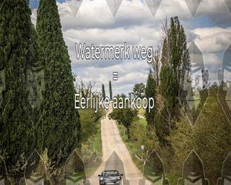 Tour Amical Toscana (groep 2) photo