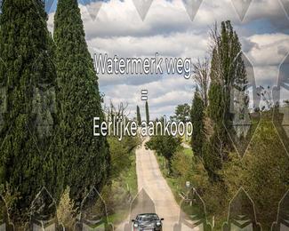 Tour Amical Toscana (groep 2) photo