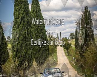 Tour Amical Toscana (groep 2) photo