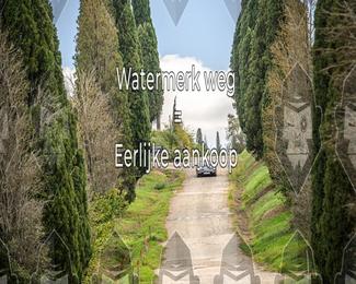Tour Amical Toscana (groep 2) photo