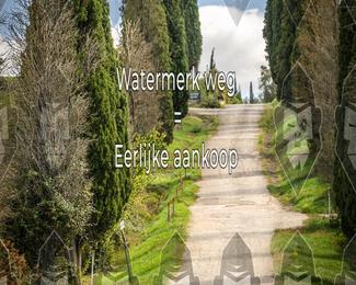 Tour Amical Toscana (groep 2) photo
