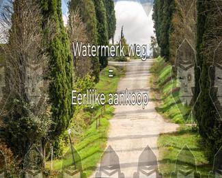 Tour Amical Toscana (groep 2) photo