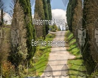Tour Amical Toscana (groep 2) photo