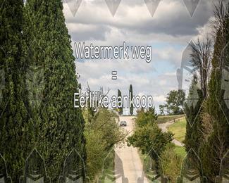 Tour Amical Toscana (groep 2) photo
