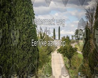 Tour Amical Toscana (groep 2) photo