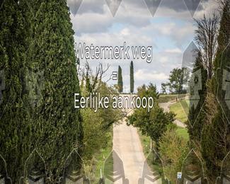 Tour Amical Toscana (groep 2) photo