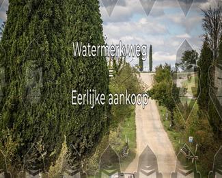 Tour Amical Toscana (groep 2) photo