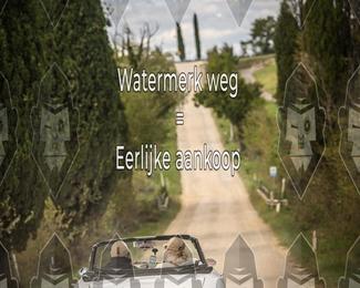 Tour Amical Toscana (groep 2) photo