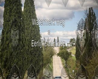 Tour Amical Toscana (groep 2) photo