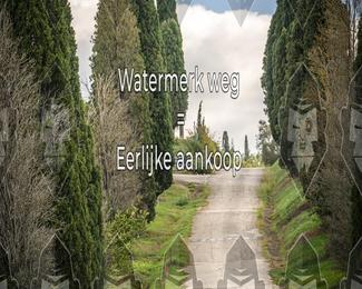 Tour Amical Toscana (groupe 2) photo