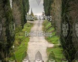 Tour Amical Toscana (groep 2) photo