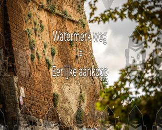 Tour Amical Toscana (groep 2) photo