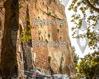 Tour Amical Toscana (groep 2) photo