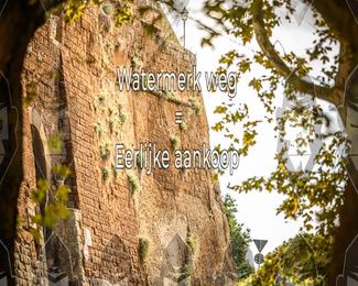 Tour Amical Toscana (groep 2) photo