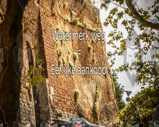 Tour Amical Toscana (groep 2) photo