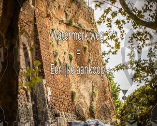 Tour Amical Toscana (groep 2) photo