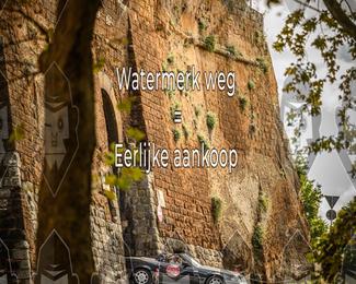 Tour Amical Toscana (groep 2) photo